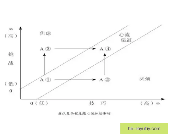 在心流中寻找绿茵答案方向之道 在心流中寻找绿茵答案方向之道